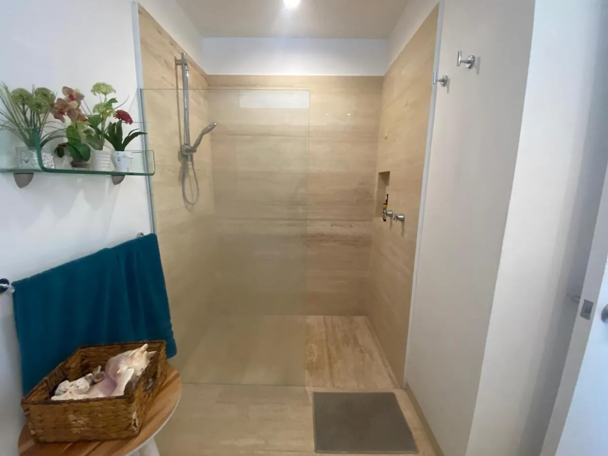 Prime 1 Bedroom Condo In Historic Downtown Playa Del Carmen Apartment