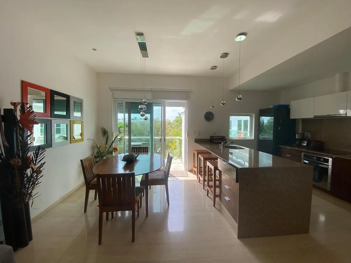 Prime 1 Bedroom Condo In Historic Downtown Playa Del Carmen